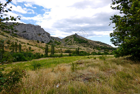 喀尔巴阡山岩石丘陵 在蓝云天空下稀有植树的灌木丛图片素材