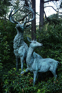 鹿的雕塑 它有巨大的扩张角和鹿的焦虑背景图片