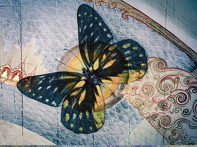 蝴蝶昆虫君主墙纸艺术黑色热带翅膀创造力墨水背景图片