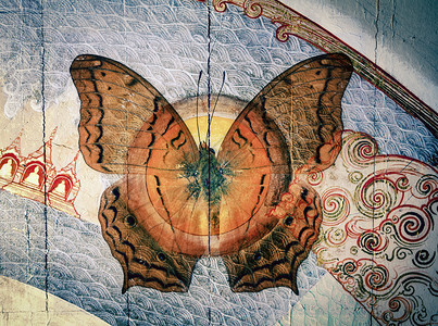 蝴蝶翅膀艺术君主墙纸创造力黑色昆虫墨水热带背景图片