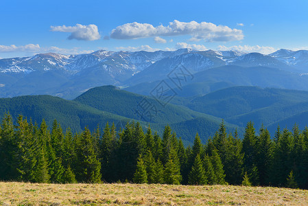 山山脉阳光照射旅游高山小径阳光高地游览草地森林全景背景图片