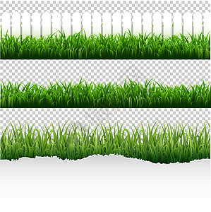 草边框大硒生长植物公园地面装饰风格国家边界环境草地背景图片