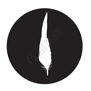 毛笔圆圈黑色圆圈中的详细羽毛轮廓 简洁时尚的插图 单色矢量墨水创造力圆形收藏绘画写作鹅毛孔雀标识艺术插画