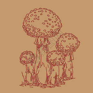 毒蝇鹅膏菌矢量手绘制了棕色背景的苍蝇刺青图示 用于设计蘑菇家族设计图片