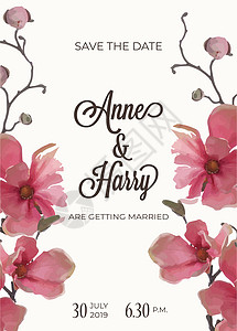 在水彩的美丽花卉婚礼邀请仪式卡片水性花瓣新娘夫妻植物订婚花框手绘背景图片