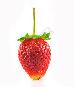 在白色背景中与世隔绝的草莓白莓食物甜点种子活力叶子宏观团体红色绿色浆果背景图片