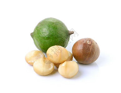 白种背景的坚果核心棕色白色团体食物种子水果背景图片