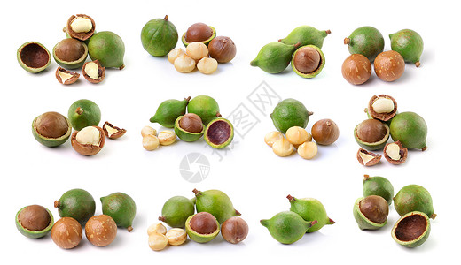 白种背景的坚果棕色水果种子食物白色核心团体背景图片