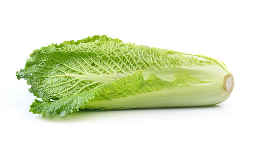 白色背景的新鲜中国菜卷心菜绿色长叶树叶植物营养叶子莴苣工作室蔬菜纤维背景图片