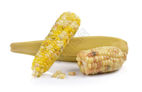蜡质的白色背景的角形玉米农业植物蔬菜食物棒子紫色蜡质营养农场粮食背景