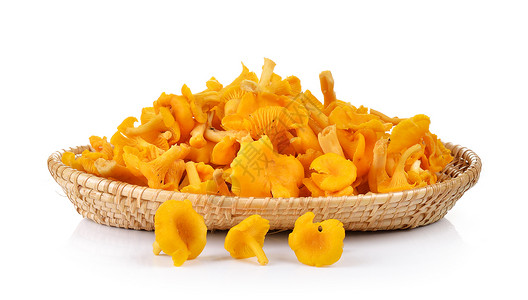 在篮子里的野生蘑菇房 被白背景隔离蔬菜智者白色食物团体橙子黄色美食背景图片