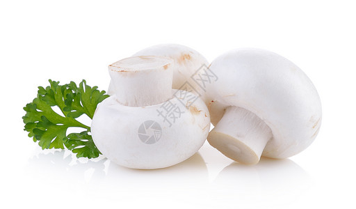 白背景孤立的香格里翁蘑菇宏观美食白色食物蔬菜高清图片