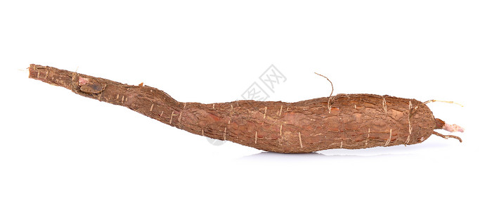 尼尤格尼尤根孤立于白色背景的木薯菌类面粉蔬菜热带植物棕色木头食物背景