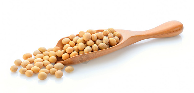 白色背景的木屑中大豆豆背景图片