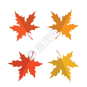 矢量红色枫叶矢量无缝模式与 redyellow 和橙色的枫叶 秋天自然的颜色为您的设计季节性静脉植物学插图植物叶子白色墙纸褪色植物群插画