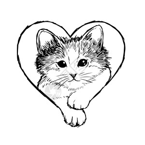 画的小猫手毛皮宠物涂鸦表演小动物幼兽耳朵尾巴草图朋友背景图片