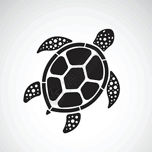 矢量乌龟白色背景下龟设计的矢量 爬虫 动物情调标识荒野夹子绘画海洋生物乌龟艺术游泳设计图片