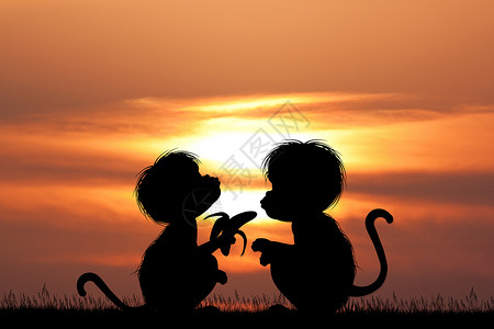 日落时两只猴子和香蕉高清图片