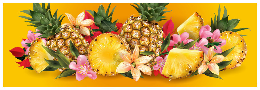 菠萝和热带花花收成广告餐厅标签蜜饯美食烹饪插图包装食物背景图片
