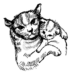 手绘小猫猫和小猫所拔的手背景