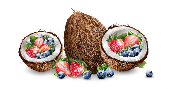 新鲜水果蓝莓椰子 蓝莓和草莓徽章生态收成蜜饯浆果水果厨房标签烹饪插图插画