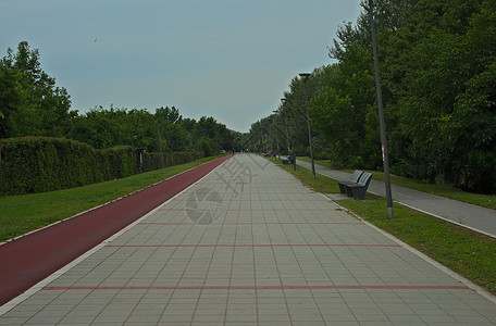 徒步 慢跑和自行车足迹的空板路背景图片