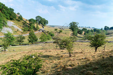 约克郡戴尔市Malham Cove附近乡村的景象天空岩石山谷树木石头公园蓝色英语王国国家背景