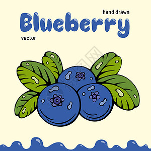 蓝莓矢量图 浆果图像 蓝色和绿色的涂鸦蓝莓矢量图 用于菜单 包装设计的蓝莓浆果图像 蓝莓的矢量浆果图像背景图片