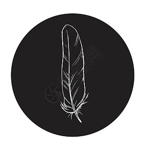 黑色圆圈中详细的矢量轮廓羽毛 液态和时尚插图 单色矢量重量标识绘画圆形墨水艺术孔雀鹅毛收藏写作背景图片