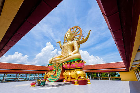 素叻府Koh Samui大佛寺宗教旅行天空蓝色建筑学地标祷告雕像艺术佛教徒背景