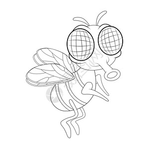 白色背景下孤立的飞卡通人物矢量设计吉祥物快乐苍蝇害虫微笑漏洞漫画眼睛野生动物蚊子背景图片