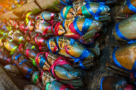 三门青蟹青蟹 泰国海鲜市场 鲜活的螃蟹用彩色塑料绳绑成一排整齐 带有耀斑灯的海鲜餐厅概念的原料销售食物热带红树生活甲壳渔业海洋动物居住背景