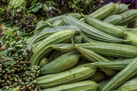 瓜棚浴巾的缝合植物葫芦活力减肥食物饮食八角烹饪蔬菜水果背景