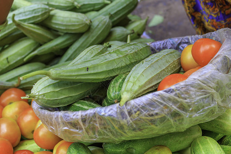 瓜棚浴巾的缝合厨房栽培烹饪食物活力饮食蔬菜减肥八角生长背景