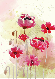 水性漆水彩风格的美丽手绘花卉背景打印水性植物学卡片墨水花框植物艺术花瓣植被插画