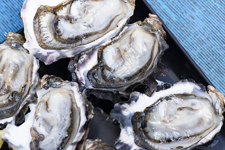 特写新鲜的鱼海鲜营养海洋食物拼盘美食蓝色背景图片