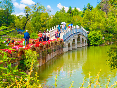 中国利江玉春公园黑龙池的苏水桥 中国李江背景图片