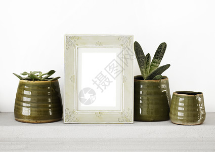 白色背景的古老照片框 绿色天然植物和绿色天然植物背景图片
