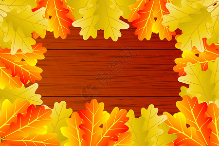 落叶木板秋叶橡树木头植物墙纸卡片横幅木板叶子季节插图树叶插画