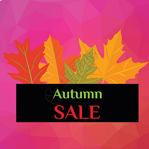 彩色抽象点上有黄叶的秋季销售网络标签零售店铺灌木季节横幅插图广告橙子背景图片