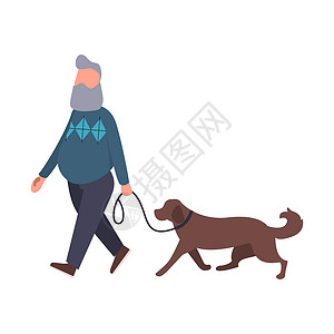 扁平人物矢量狗步行者在户外遛宠物 高级与拉布拉多漫步 卡通扁平人物 宠物散步服务概念艺术背景