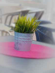 桌上的花朵植物学生长装饰色调社会大自然餐厅住宅主题美化背景图片