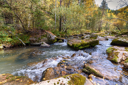 秋天森林中石头石山河树木溪流绿色石头岩石瀑布苔藓流动背景图片