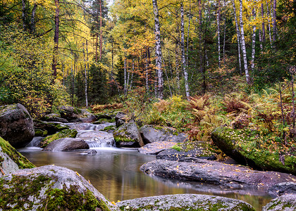 秋天森林中石头石山河岩石溪流树木苔藓瀑布石头绿色流动背景图片