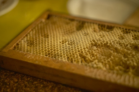 蜂蜜用于蜂蜜生产背景图片