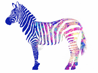 插图动物斑马与背景中的水彩条纹隐藏蓝色头发姿势皮革线条艺术哺乳动物彩虹丛林背景图片