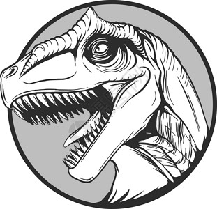 恐龙头矢量中的卡通恐龙素描侏罗纪攻击草图荒野捕食者虚骨爬虫收藏生物插图设计图片