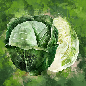 绿色背景的卷心菜 水彩色插图收成美食标签厨房绘画餐厅食物斑点生态徽章背景图片