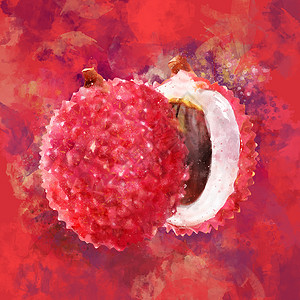 红背景的一一 水彩图包装收成果汁甜点绘画标签餐厅美食蜜饯生态背景图片