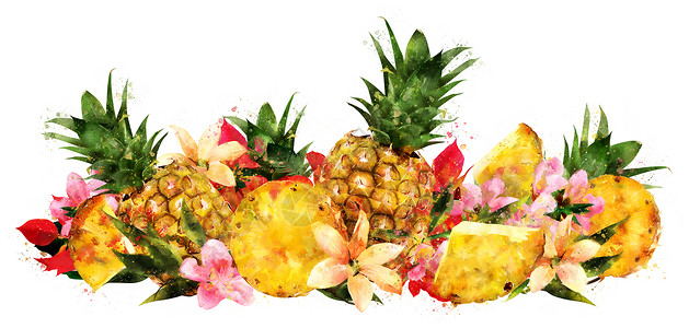水彩菠萝白色背景上的菠萝 它制作水彩画斑点食物广告包装甜点生态烹饪凤梨绘画徽章背景